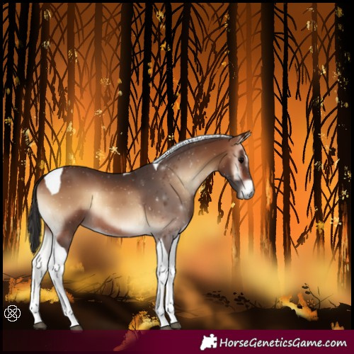 Horse Color:Brown Onyx Tobiano