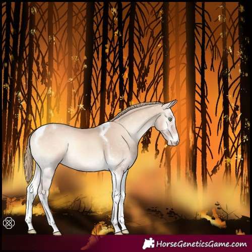 Horse Color:Perlino Onyx Tobiano 