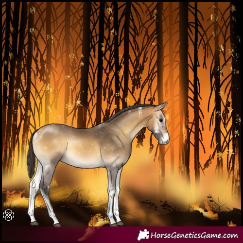 Horse Color:Powder White Buckskin Onyx Tobiano