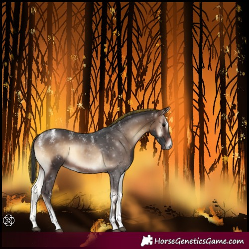 Horse Color:Powder White Painted Brown Onyx Tobiano 