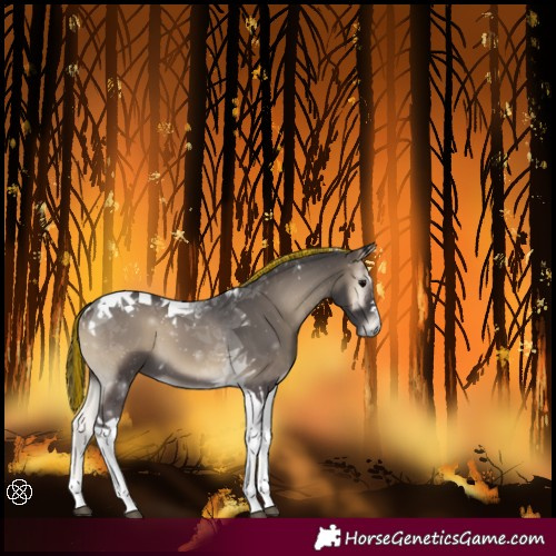 Horse Color:Painted Smoky Blue Onyx Tobiano