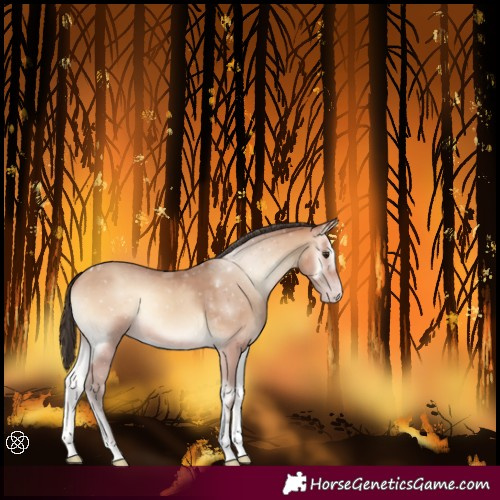Horse Color:Amber Champagne Onyx Tobiano