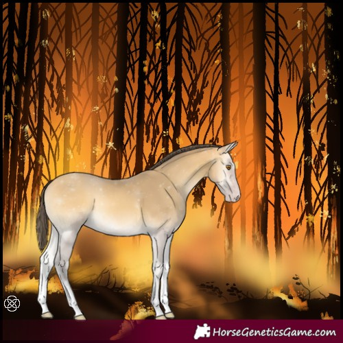 Horse Color:White Spotted Amber Cream Champagne Onyx Tobiano
