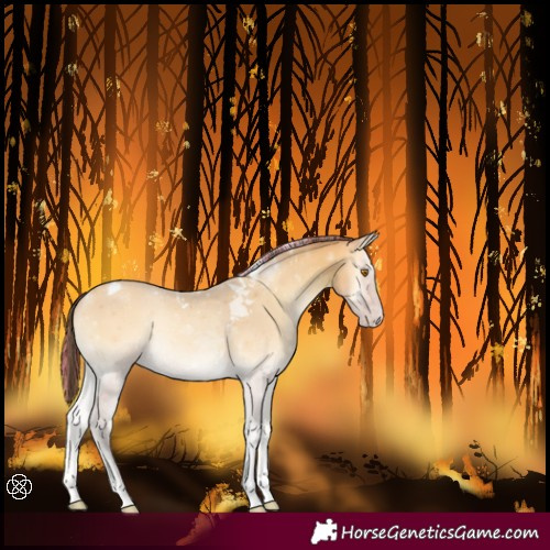 Horse Color:Painted Amber Cream Champagne Onyx Tobiano