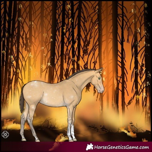 Horse Color:Amber Cream Champagne Tobiano 