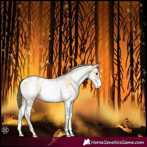 Horse Color:White Spotted Classic Cream Champagne Onyx Tobiano 