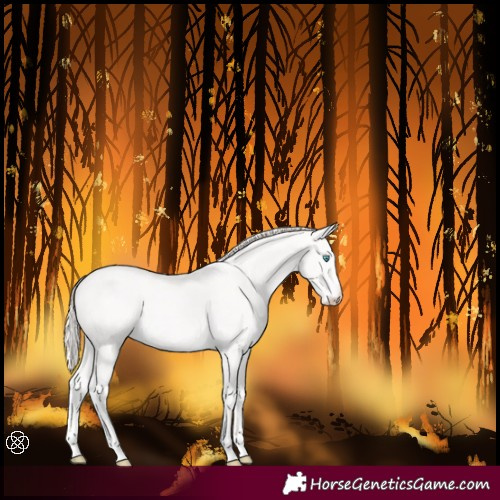 Horse Color:Smoky Creme Tobiano