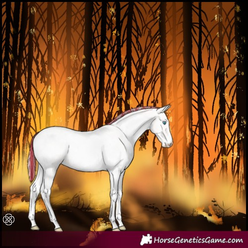 Horse Color:Painted Perlino Onyx Tobiano 
