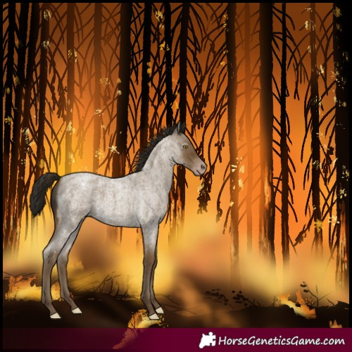 Horse Color:Gray Classic Cream Champagne Roan Varnish 