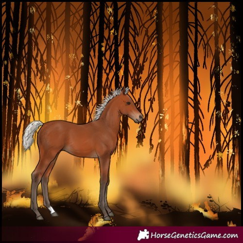 Horse Color:Silver Bay
