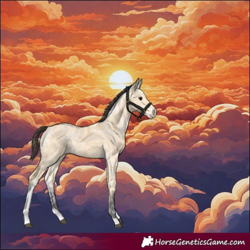 Horse Color:Buckskin Ice Tobiano