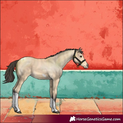 Horse Color:Buckskin Tobiano 