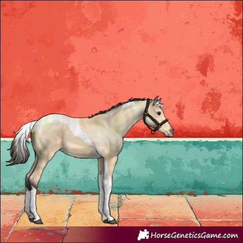 Horse Color:Buckskin Tobiano 