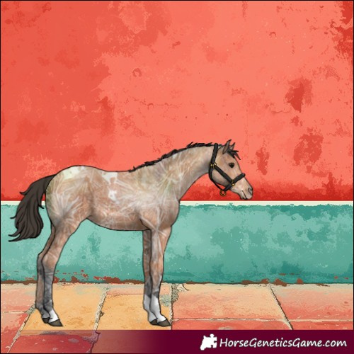 Horse Color:Bay Ice Tobiano 