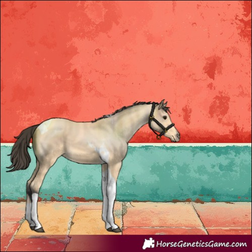 Horse Color:Buckskin Tobiano 
