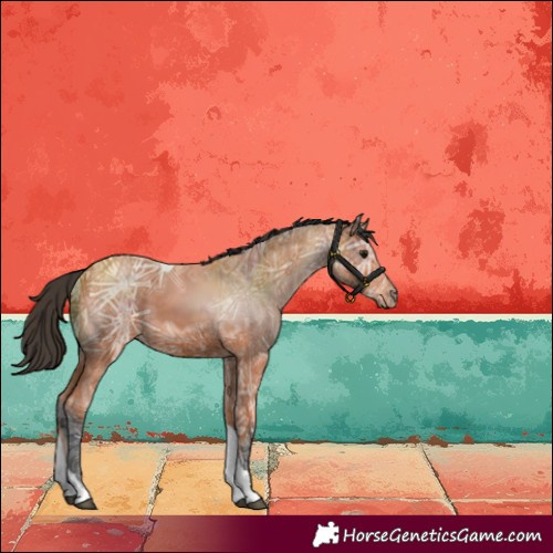 Horse Color:Bay Ice Tobiano