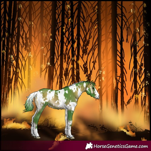 Horse Color:Watercolor White Spotted Brown Onyx 