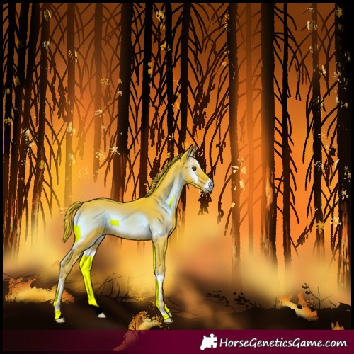 Horse Color:Watercolor Liver Red Onyx