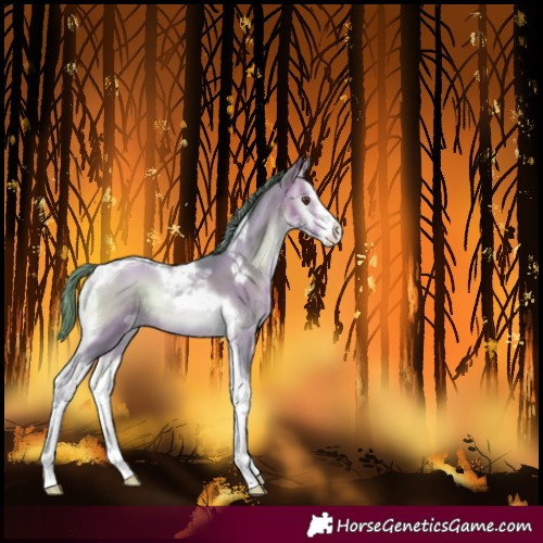 Horse Color:Watercolor Bay Pearl Onyx Sabino Tobiano