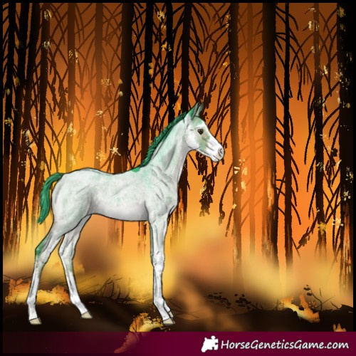Horse Color:Watercolor Liver Red Dun Roan Sabino Brindle 