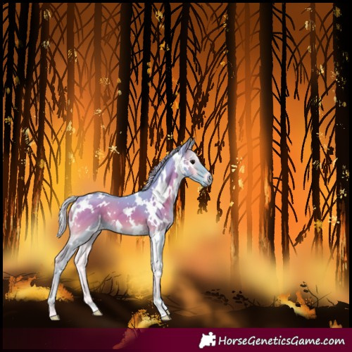 Horse Color:Watercolor White Spotted Silver Smoky Blue Onyx