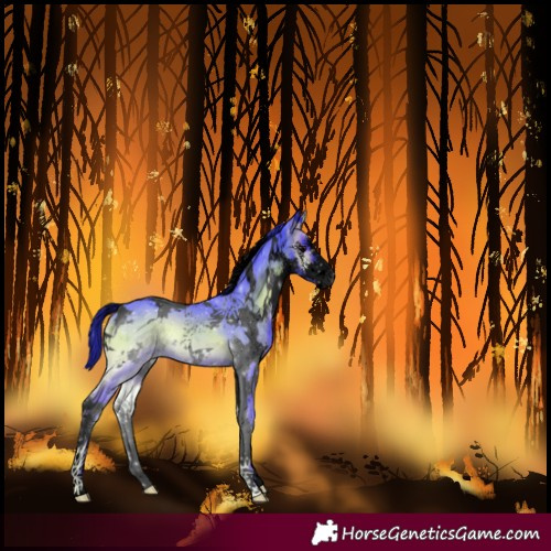 Horse Color:Void Watercolor White Spotted Blue Onyx Sabino 