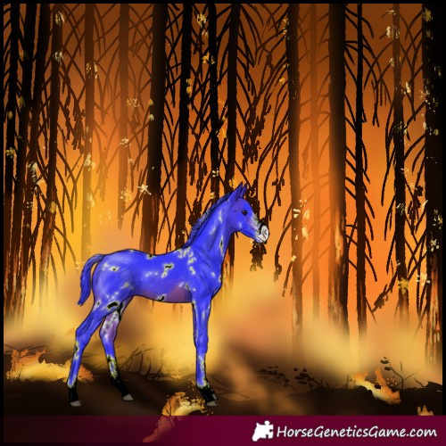 Horse Color:Watercolor White Spotted Brown Sabino