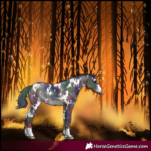 Horse Color:Nacre White Spotted Brown 