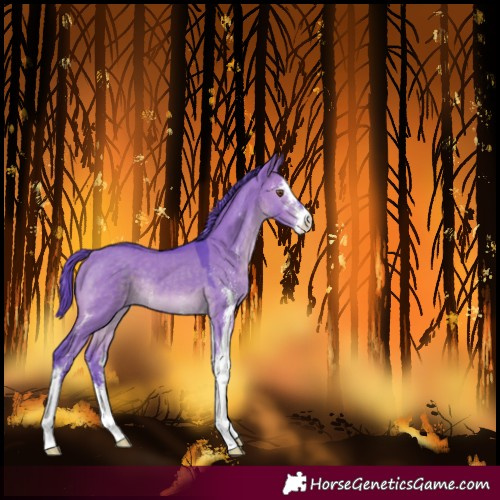 Horse Color:Watercolor Brown Dun Sabino 