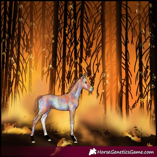Horse Color:Nacre Watercolor Liver Red Onyx 
