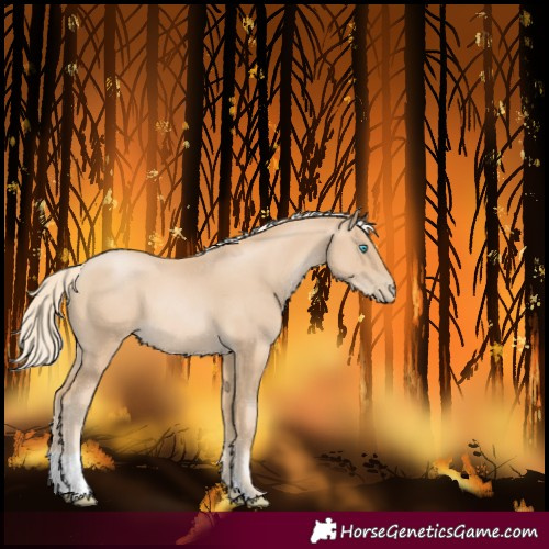 Horse Color:Palomino Pearl