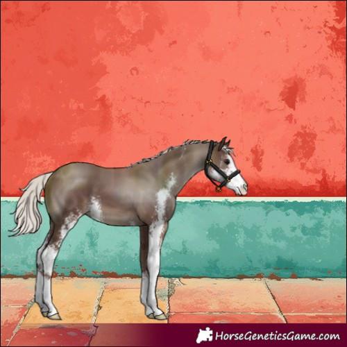 Horse Color:Silver Black Sabino 
