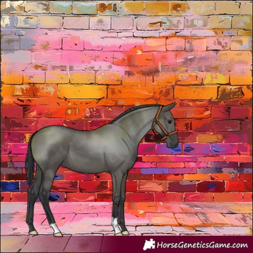Horse Color:Grullo 