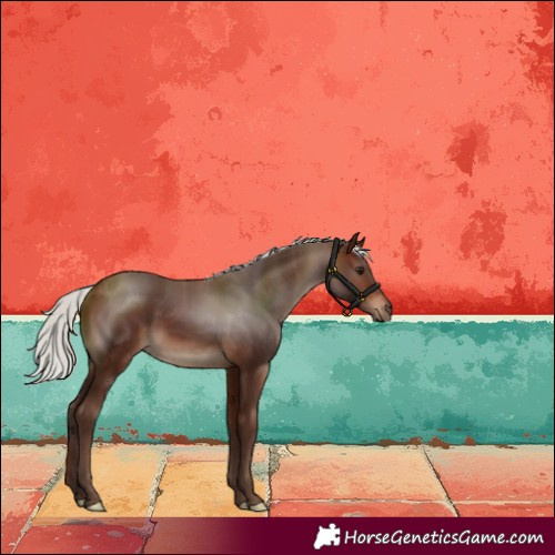 Horse Color:Silver Brown 