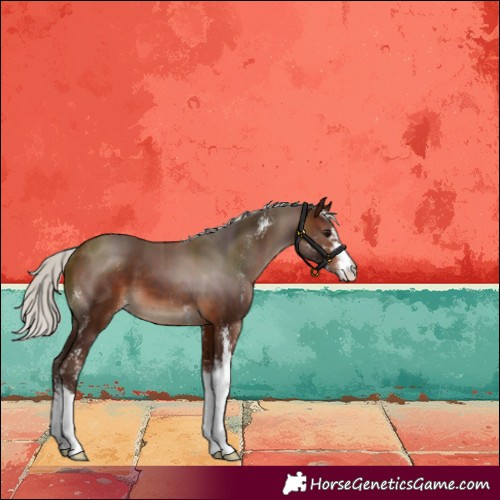 Horse Color:Silver Brown Sabino