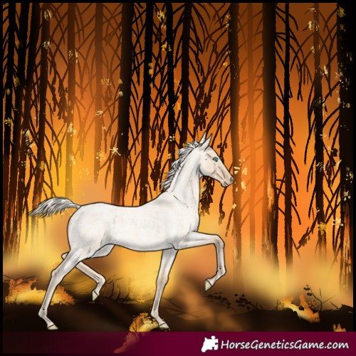Horse Color:Cremello Roan Dun