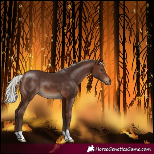 Horse Color:Silver Brown