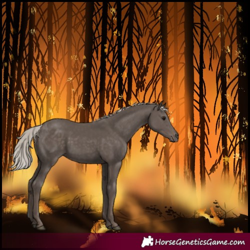 Horse Color:Silver Black 
