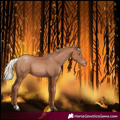 Horse Color:Silver Brown Pearl 
