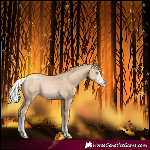 Horse Color:Silver Smoky Black Pearl Sabino