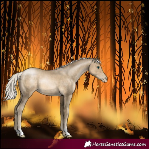 Horse Color:Silver Smoky Black Pearl 