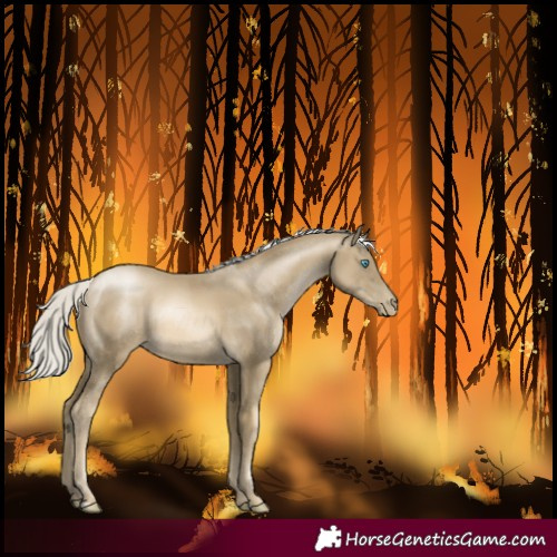 Horse Color:Silver Smoky Black Pearl Rabicano 