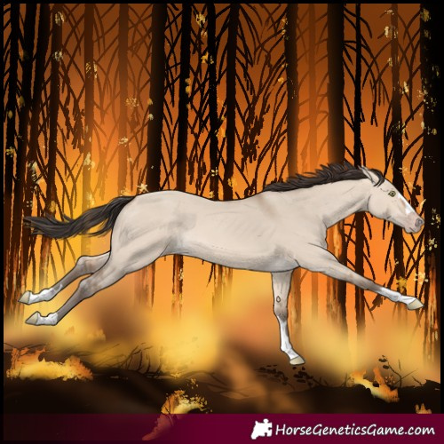 Horse Color:Amber Champagne Dun