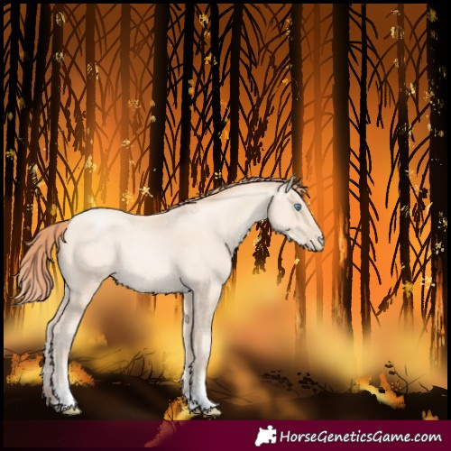 Horse Color:Amber Cream Champagne Pearl 