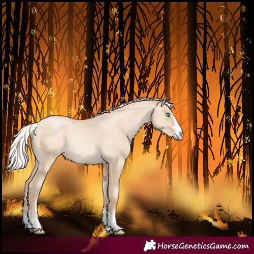 Horse Color:Silver Buckskin Pearl Dun