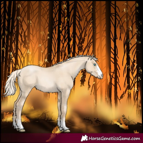 Horse Color:Palomino Pearl Dun 
