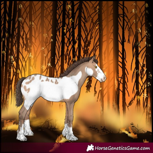 Horse Color:Amber Champagne Frame Blanket 