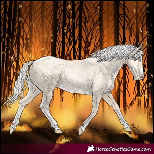 Horse Color:Silver Buckskin Pearl 