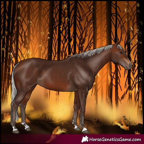 Horse Color:Silver Bay