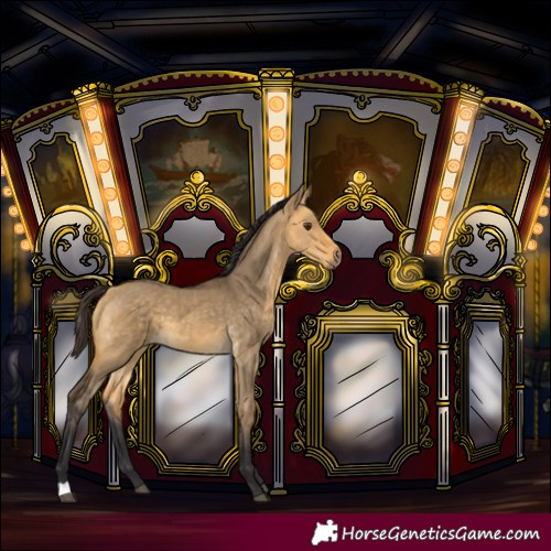 Horse Color:Buckskin Dun 
